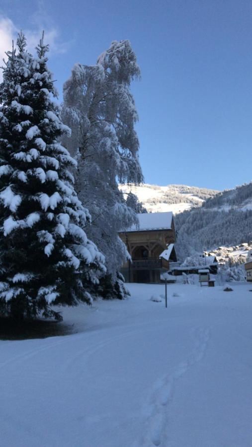 La Montagne « Un Coin D'Oxygene » Appartement Châtel Buitenkant foto