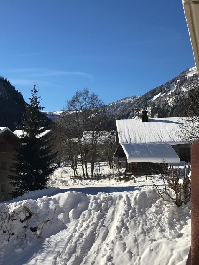 La Montagne « Un Coin D'Oxygene » Appartement Châtel Buitenkant foto